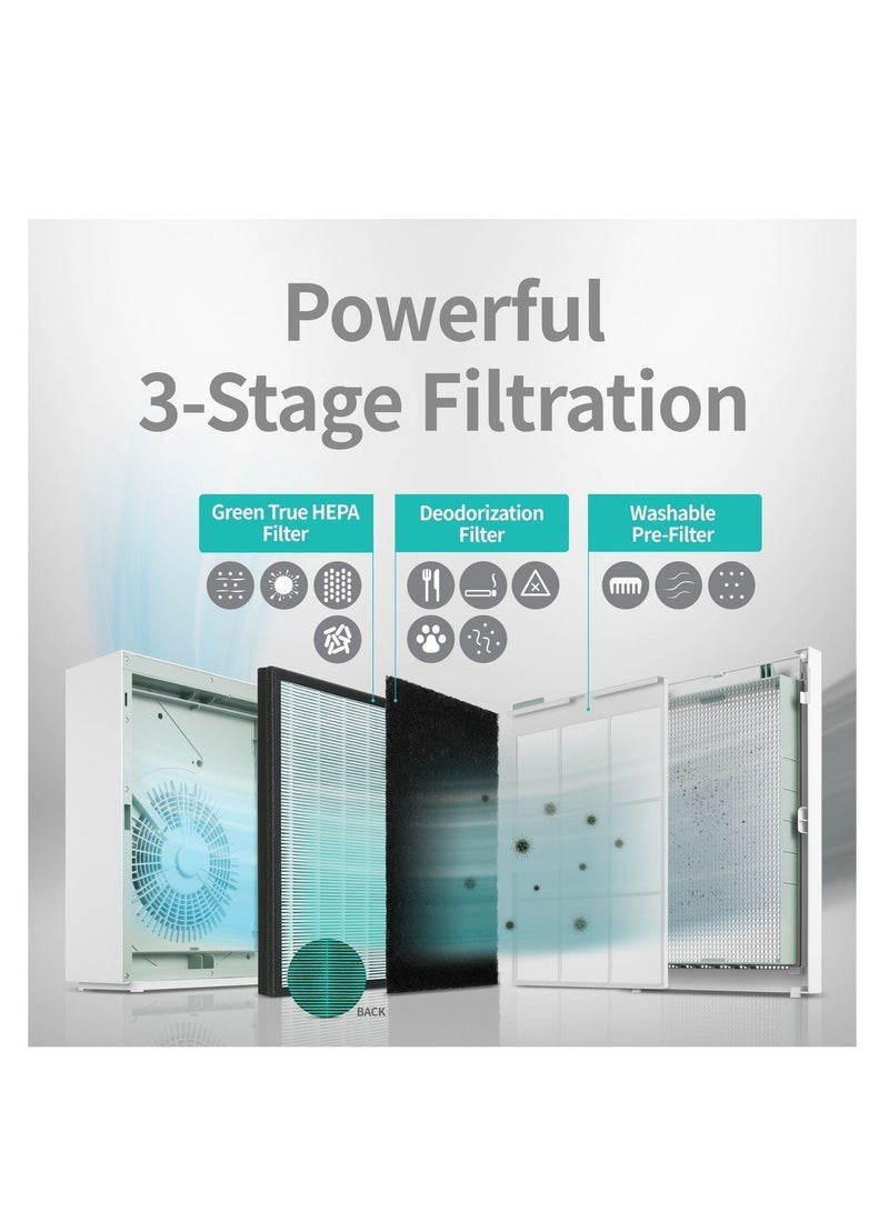 كواي منقّي هواء AM-150 للغرف الكبيرة حتى 1,035 قدم² | فلتر GreenHEPA طويل العمر ‏3-في-1 | مراقبة جودة الهواء | وضع تلقائي | يزيل ‎99.99%‎ من الغبار ووبر الحيوانات والروائح ومسببات الحساسية | وضع النوم الهادئ 20 ديسيبل | ضمان سنتين | أخضر - Image 2